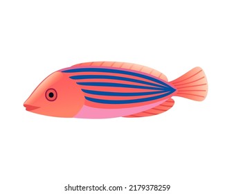Exotic tropical aquarium fish vector illustration isolated on white background cartoon animal design