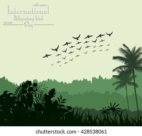 Exotic tropical background beautiful with flying birds for Birds migratory day.Vector