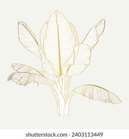 Exotic tropical banana leaves. Palm beach tree jungle botanical leaves. Golden line engraved ink art. Leaf plant botanical garden floral foliage.