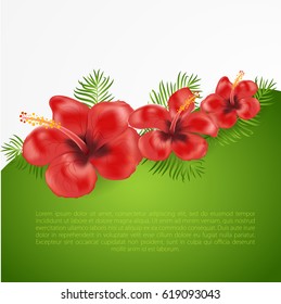 Exotic tropical banner design template. Bright greenery jungle palm tree leaves and red hibiscus flowers. Vintage banner element for invitation, greeting card, packaging, web and print