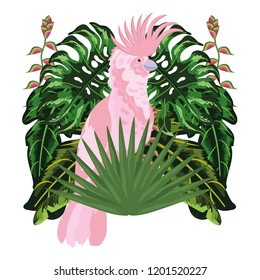 Exotic and tropical bird