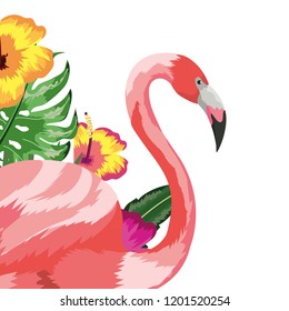 Exotic and tropical bird