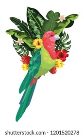 Exotic and tropical bird