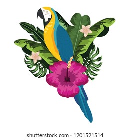 Exotic and tropical bird