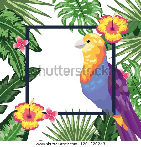 Exotic and tropical bird