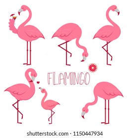 Exotic Tropical Bird Flamingos. Vector