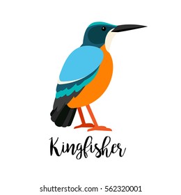 Exotic tropical bird isolated on white background. Kingbisher bird vector element with hand drawn inscription