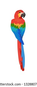 Exotic tropical bird vector illustration isolated on white background. Colorful parrot ara set.