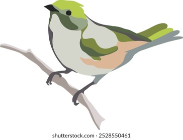 Ilustración vectorial de pájaro tropical exótico sobre fondo blanco
