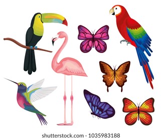 exotic and tropical birds and butterflies