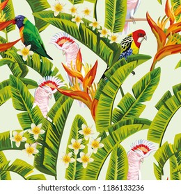 Exotic tropical birds parrot in the green jungle flowers frangipani plumeria white background