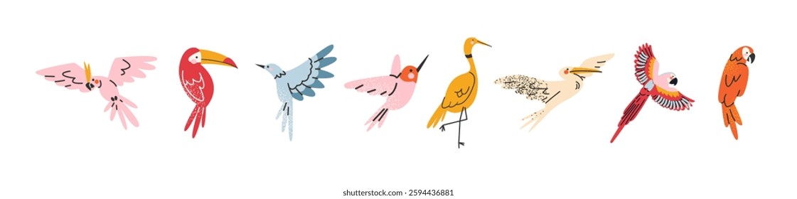 Exotic tropical birds and parrots in cartoon retro style. Jungle inhabitants, rare birds, hummingbird, heron, toucan. Vector hand drawn doodle style