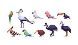 Exóticos Pájaros Tropicales Pixel Art Set. Colección De Fauna Selvática. 8 Bits. Desarrollo De Juegos, Aplicación Móvil. Ilustración Aislada Del Vector. Patrón De Punto De Cruz.