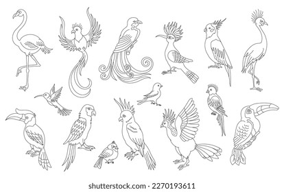 Exotic tropical birds set. Editable line thickness outline stroke. Vector illustration.