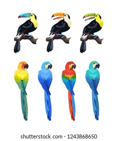 Exotic tropical birds vector illustration isolated on white background. Colorful toucan and parrot ara set.