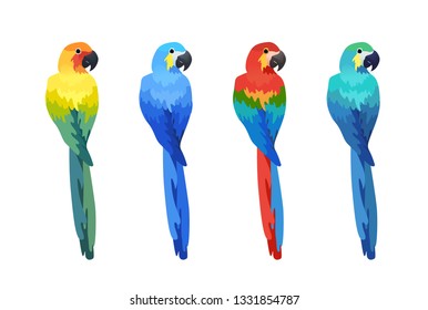 Exotic tropical birds vector illustration isolated on white background. Colorful parrot ara set.