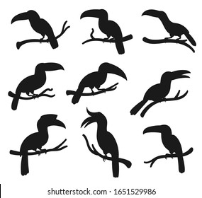 Exotic tropical birds, vector silhouette icons. Cartoon toucan and hornbill birds with big beaks sitting on tree branch, jungle birds and zoology park symbols