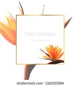 Exotic tropical bright orange strelitzia bird of paradise flower. Card banner flyer cover square border frame template. Exotic design for cosmetics, health care products.