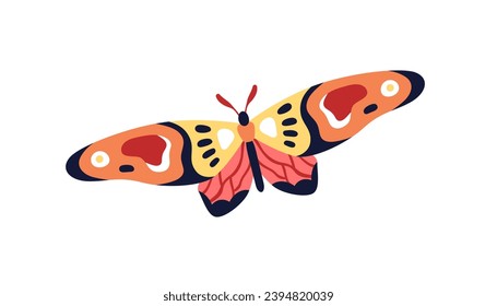 Exotic tropical butterfly flying. Beautiful moth with multicolor wings. Summer insect flies. Abstract fauna species, above view. Colored flat graphic vector illustration isolated on white background