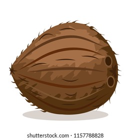 Exotic tropical depicting whole, half, fresh, juicy brown coconut. Flat cartoon vector illustration on white background. Pieces of coconut. Coconut nut in shell. Poster,logo. 