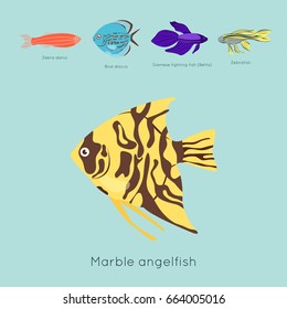 Exotic tropical fish different colors underwater ocean species aquatic nature flat isolated vector illustration