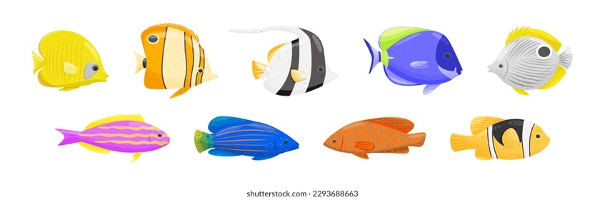 Exotic Tropical Fish of Different Shapes and Colors Vector Set