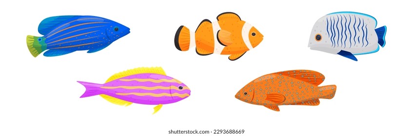 Exotic Tropical Fish of Different Shapes and Colors Vector Set