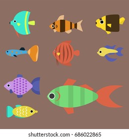 Exotic tropical fish race different breed colors underwater ocean species aquatic strain nature flat vector illustration.