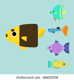 Exotic tropical fish race different breed colors underwater ocean species aquatic strain nature flat vector illustration.