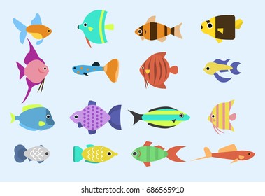 Exotic tropical fish race different breed colors underwater ocean species aquatic strain nature flat vector illustration.