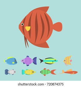 Exotic tropical fish race different breed colors underwater ocean species aquatic strain nature flat vector illustration.