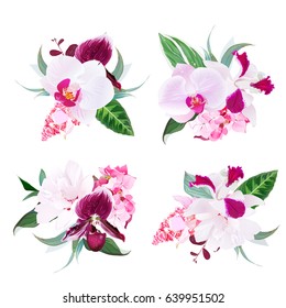 Exotic tropical floral bouquets arranged from white layered hibiscus, medinilla, paphiopedilum orchid, hydrangea, Singapore flowers vector design set. All elements are isolated and editable.