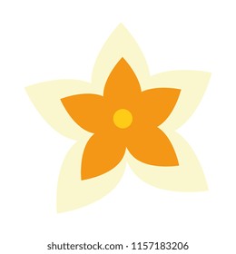 exotic and tropical flower