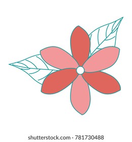 exotic and tropical flower