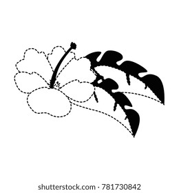 exotic and tropical flower