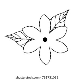 exotic and tropical flower