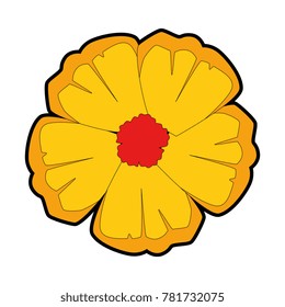 exotic and tropical flower