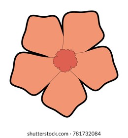 exotic and tropical flower