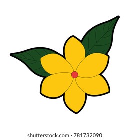 exotic and tropical flower