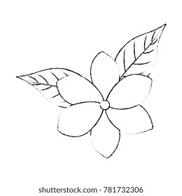 exotic and tropical flower