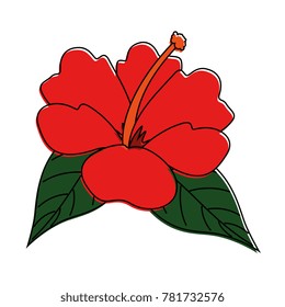 exotic and tropical flower
