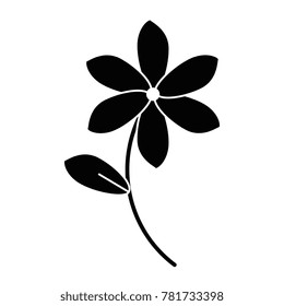 exotic and tropical flower