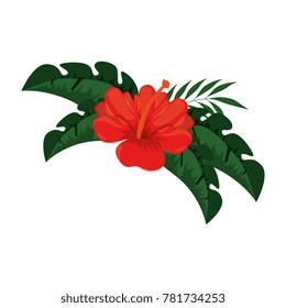 exotic and tropical flower