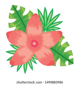 exotic and tropical flower garden with leafs decoration