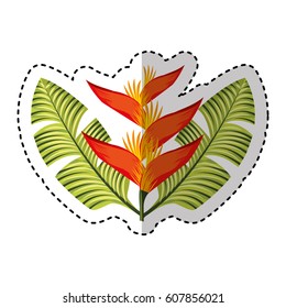 exotic and tropical flower icon vector illustration design