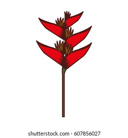 exotic and tropical flower icon vector illustration design