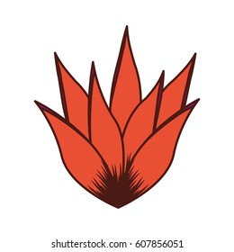 exotic and tropical flower icon vector illustration design