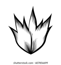 exotic and tropical flower icon vector illustration design