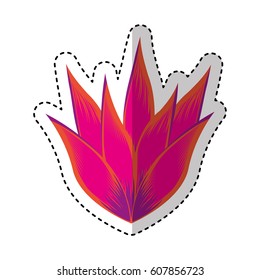 exotic and tropical flower icon vector illustration design
