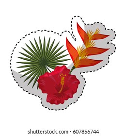 exotic and tropical flower icon vector illustration design